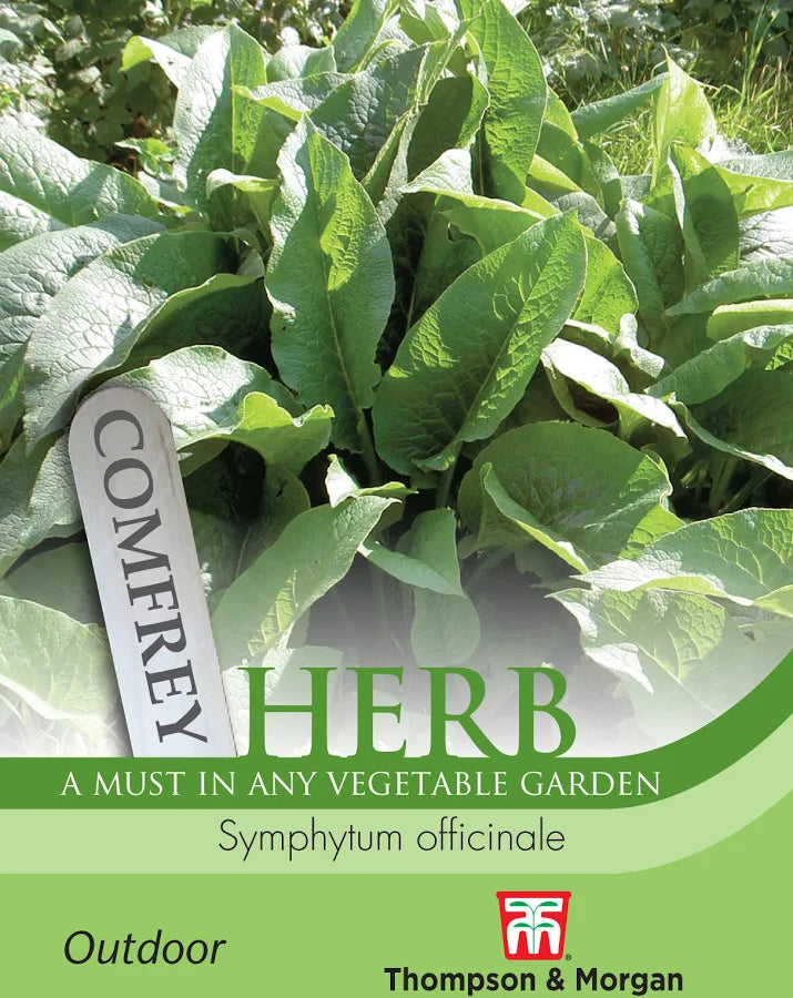 Thompson & Morgan Herb Comfrey seed packet front showing Symphytum officinale leaves