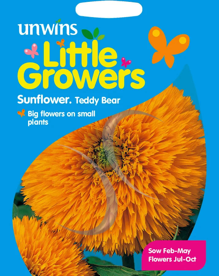 Unwins Little Growers Sunflower Teddy Bear seed packet, alternate blue design with sowing dates
