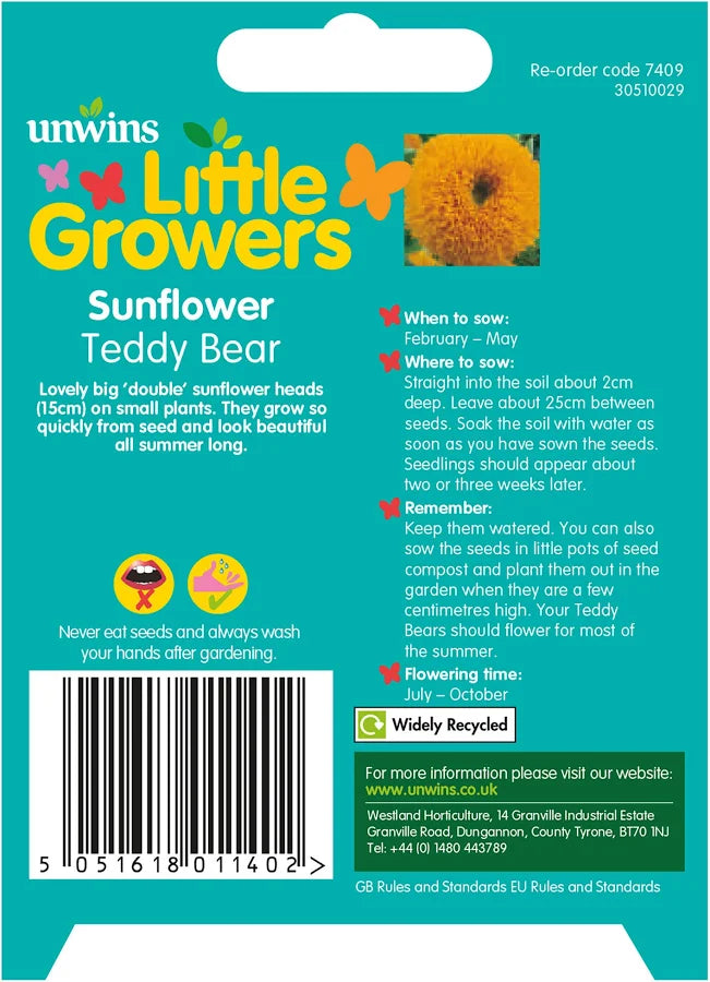 Back of Unwins Teddy Bear sunflower seed packet with sowing, flowering time and growing instructions