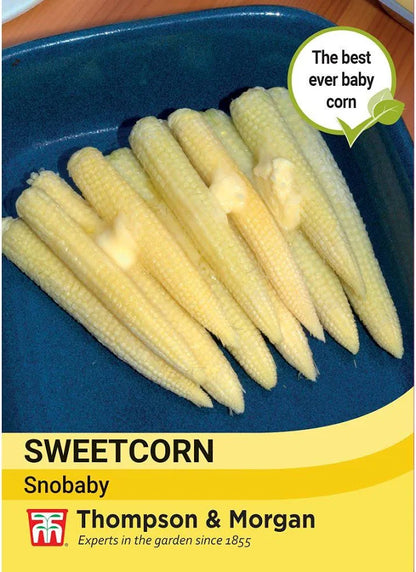 Thompson & Morgan Sweetcorn Snobaby seed packet front showing pale yellow baby corn cobs on a blue plate