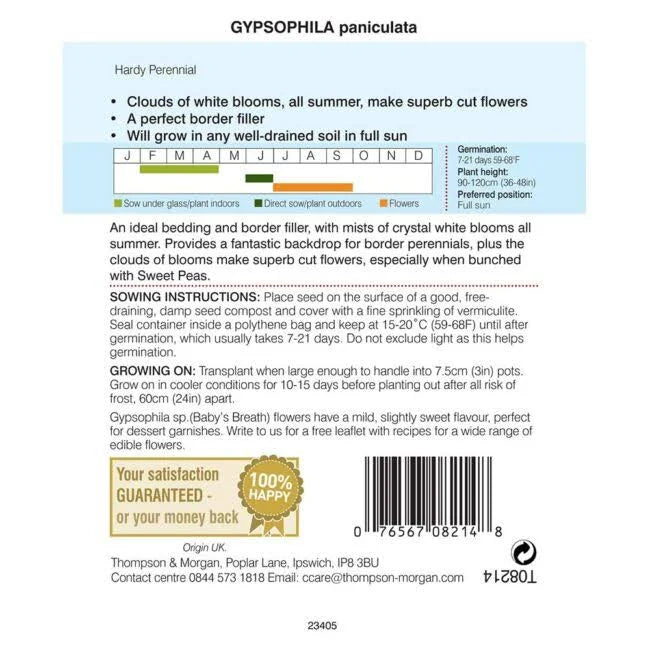 Back of Gypsophila paniculata seed packet with sowing instructions, germination chart and planting details