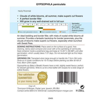 Back of Gypsophila paniculata seed packet with sowing instructions, germination chart and planting details