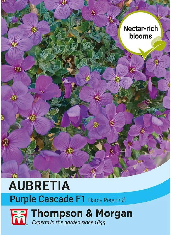 Thompson & Morgan Aubrieta Purple Cascade F1 seed packet showing purple flowers